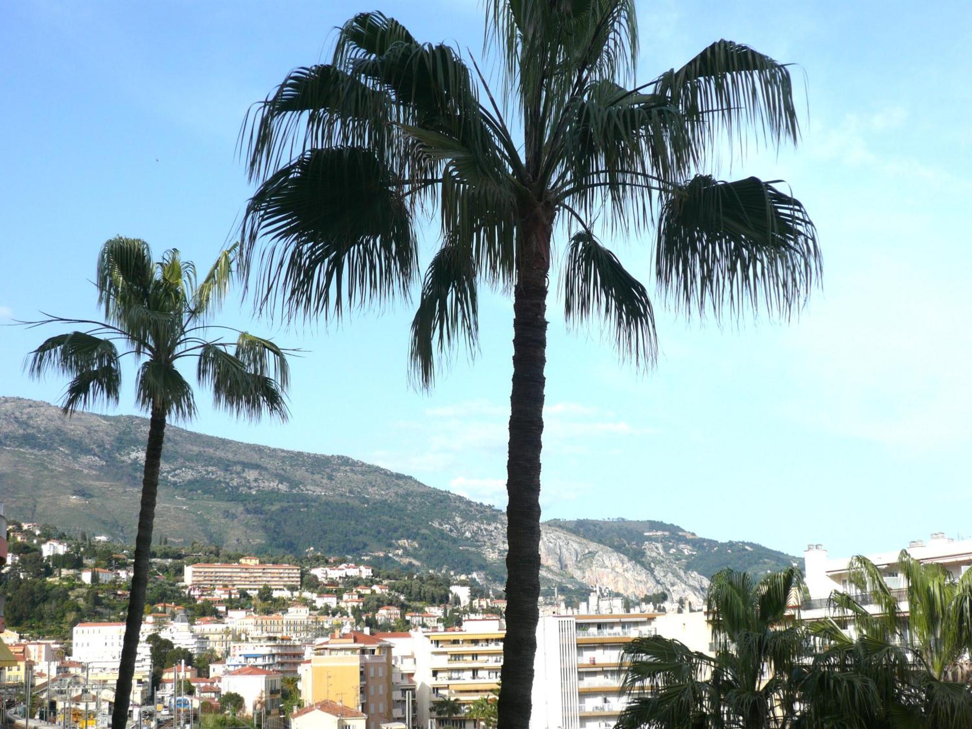 Apartment Grand 2 Pieces Climatise, Terrassse Vue & Proche Fete Du Citron